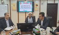 جلسه کمیته فرهنگی ستاد بزرگداشت شهید جمهور‌ آیت الله رئیسی و شهدای خدمت استان بوشهر 